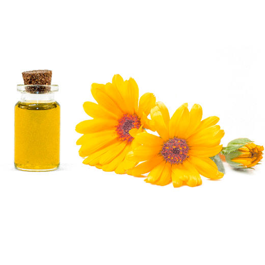 金盏菊精油
