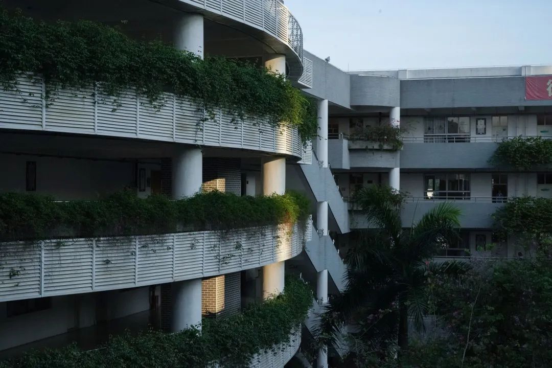 光明区高级中学