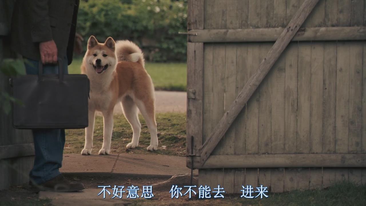  p>《忠犬八公的故事》改编自1925年发生在日本的真实故事,由 a