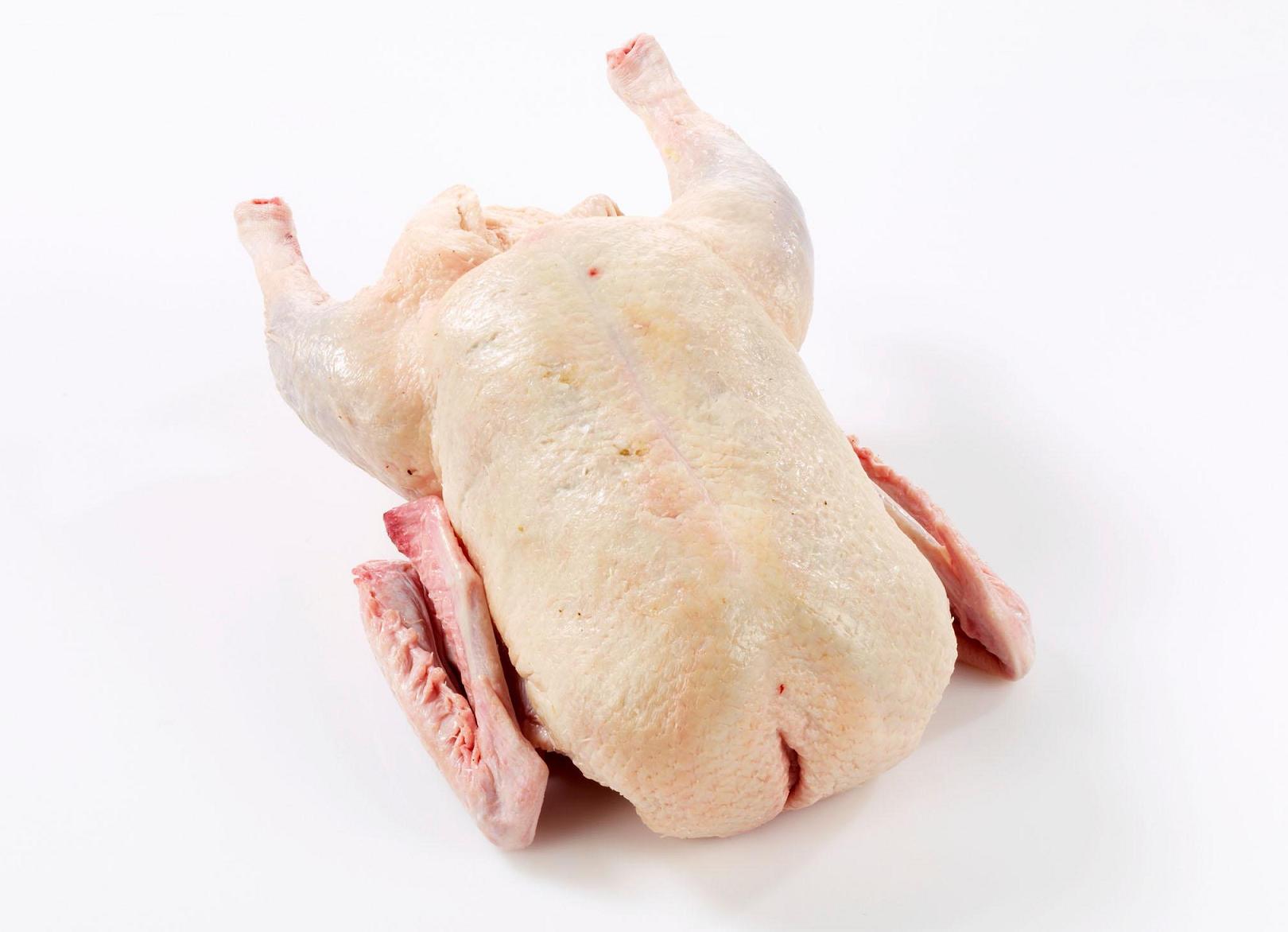 去大毛,捏小毛后洗净后的鹅裸体即为白条鹅;经开膛取出内脏为净膛白条