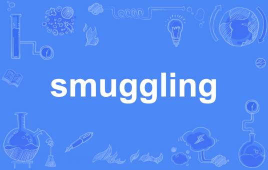 smuggling（英语单词）_百度百科