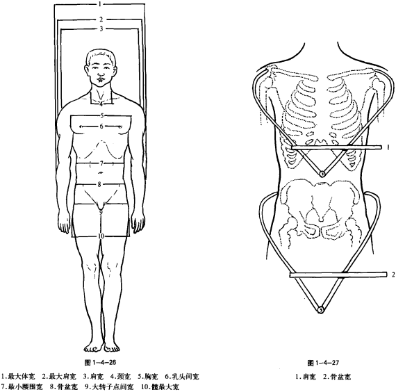 data-lemmaid="16934059">人体测量 /a>中髂宽即 a target="_blank"
