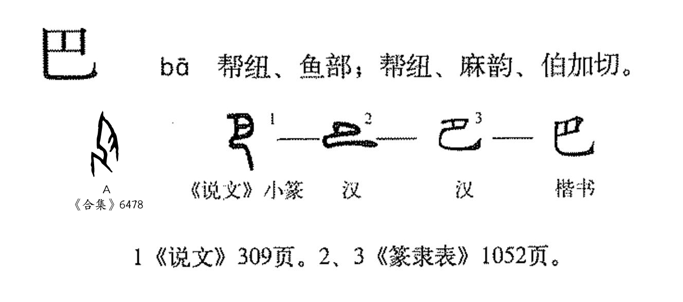 此字始见于商代甲骨文,其古字形像口部巨大的蛇形.