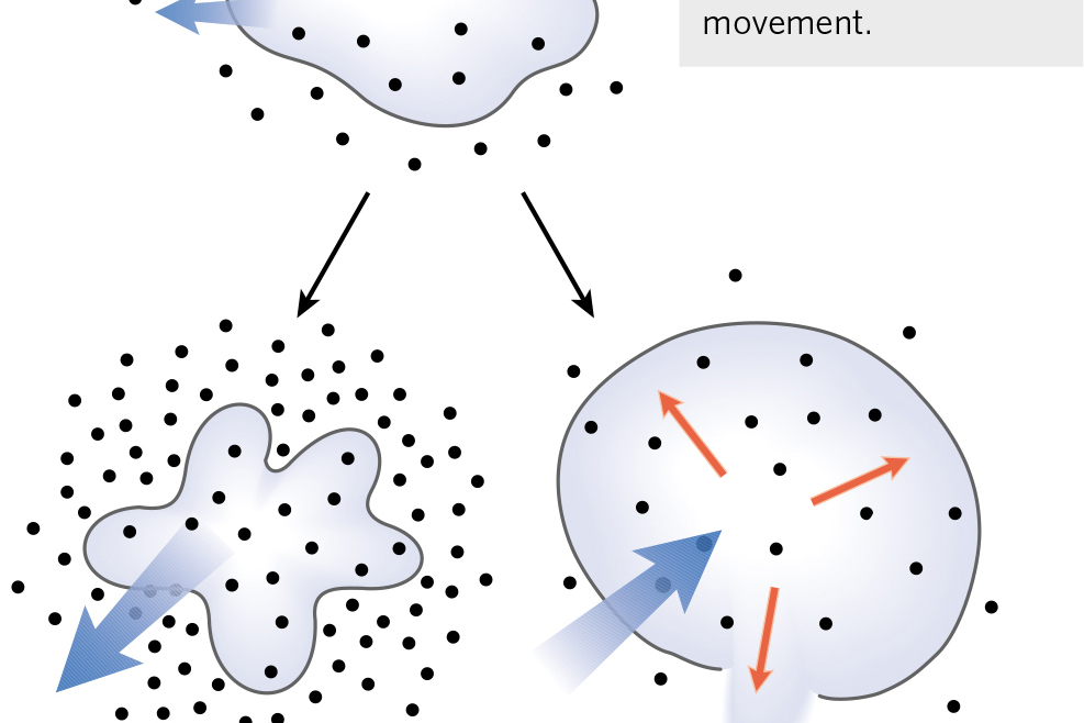 细胞外液渗透压