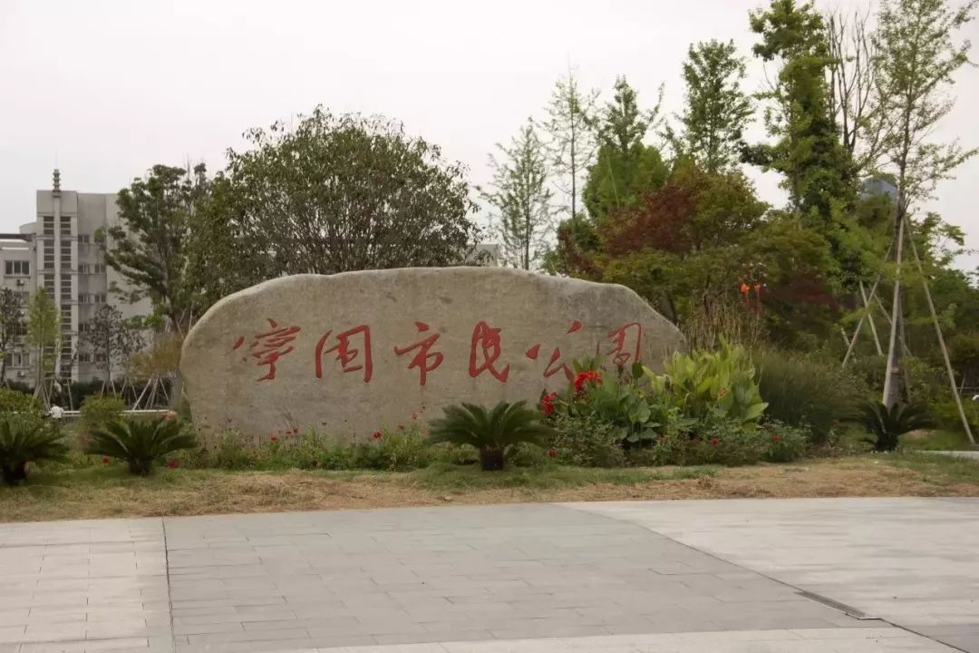 宁围街道