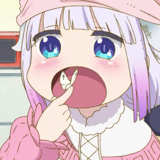 康娜卡姆依