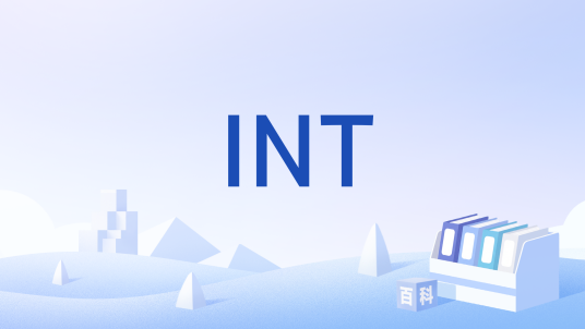 INT（经济学术语）_百度百科