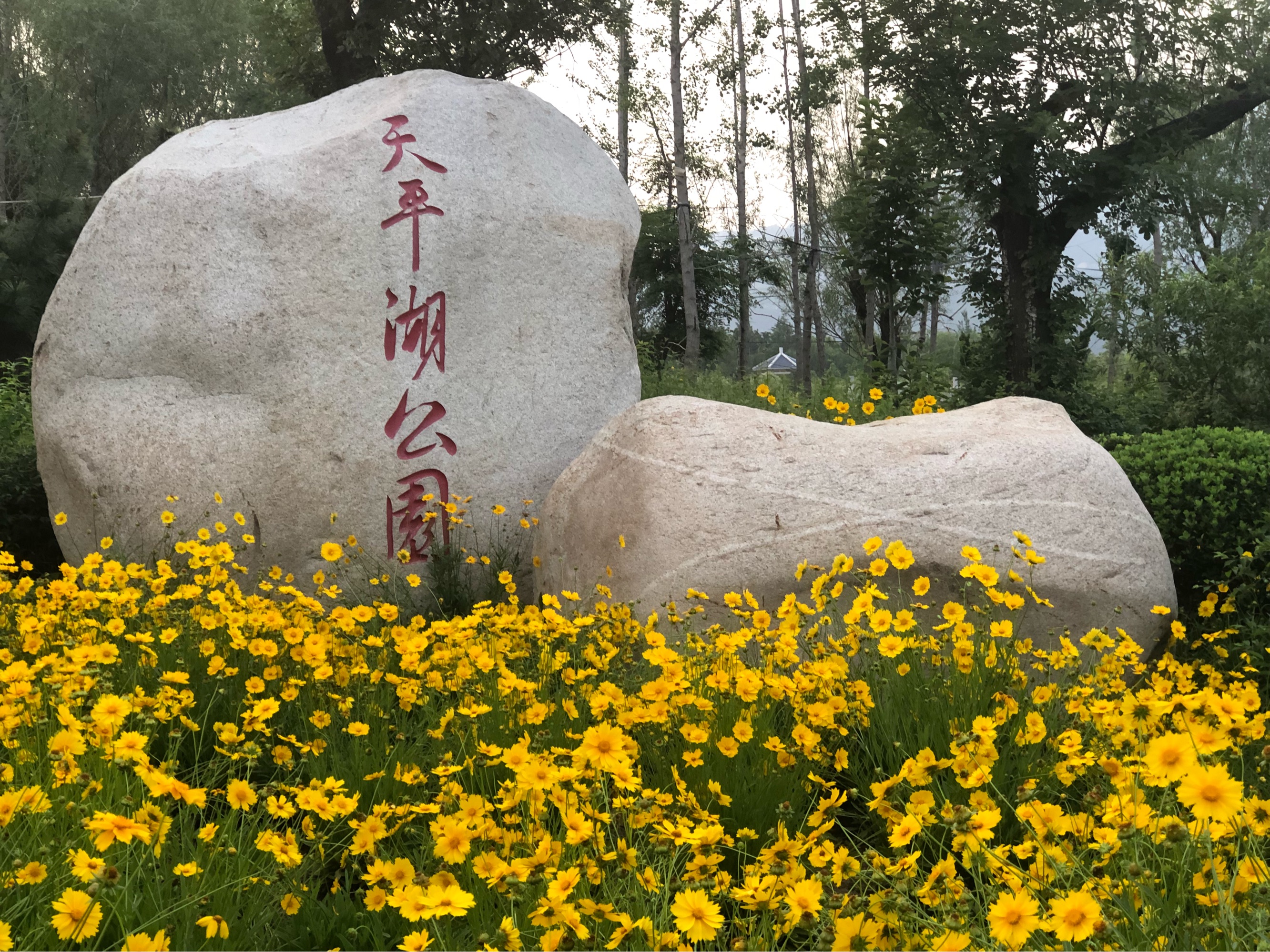  p>天平湖位于山东省 a target="_blank" href="/item/泰安市">泰安市