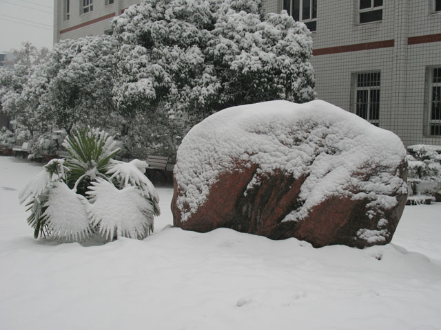  p>钢城五中(原名武钢五中),位于武汉市青山区红钢城中心地带的红钢二