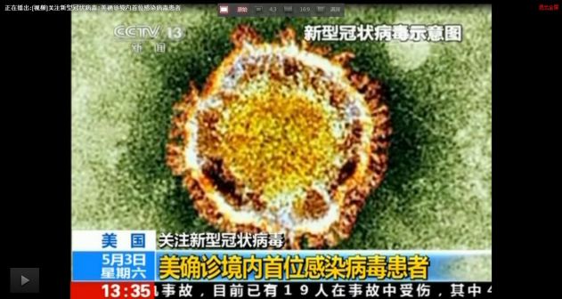 新型冠状病毒示意图