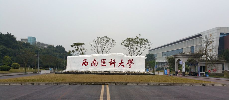  p>西南医科大学( i>southwest medical university /i>),简称"西南医