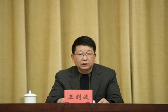王剑波（第四军医大学主任药师）_百度百科