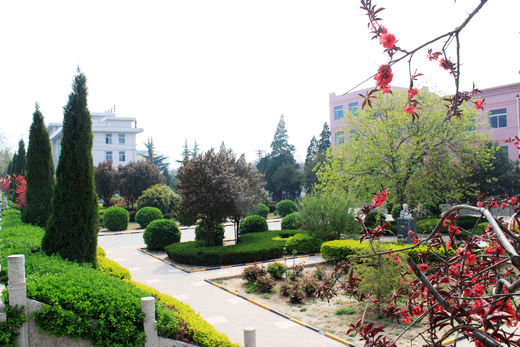 蒲城县尧山中学