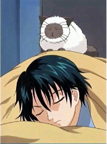  p>越前龙马,日本漫画《 a target="_blank" href="/item/网球王子