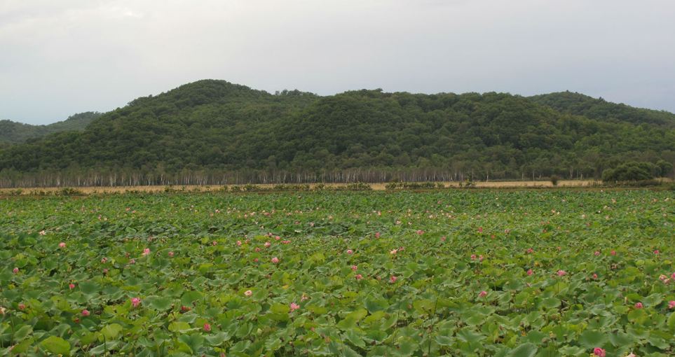 透龙山生态旅游风景区