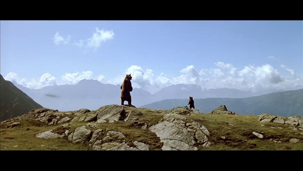  p>《熊的故事》是由 a href="#" data-lemmaid="1074606">让·雅克