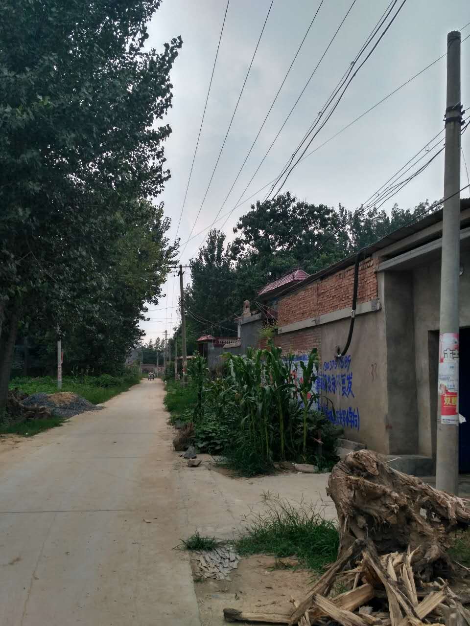  p>曹集村是河南省商丘市夏邑县杨集镇下辖村,位于河南省夏邑县(中国