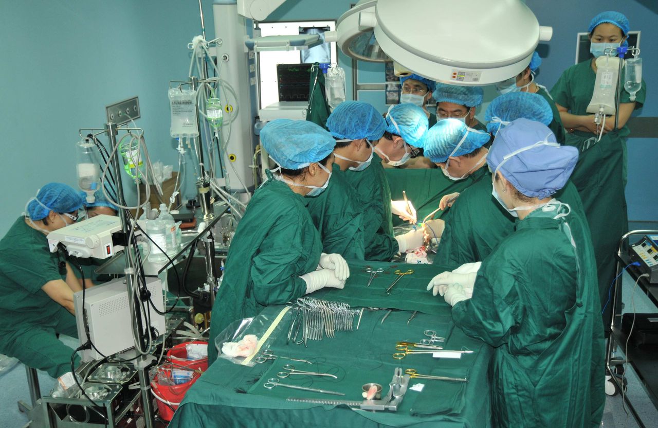 data-lemmaid="6930012">生物组织 /a>制成的人工 生物瓣膜替换的手术