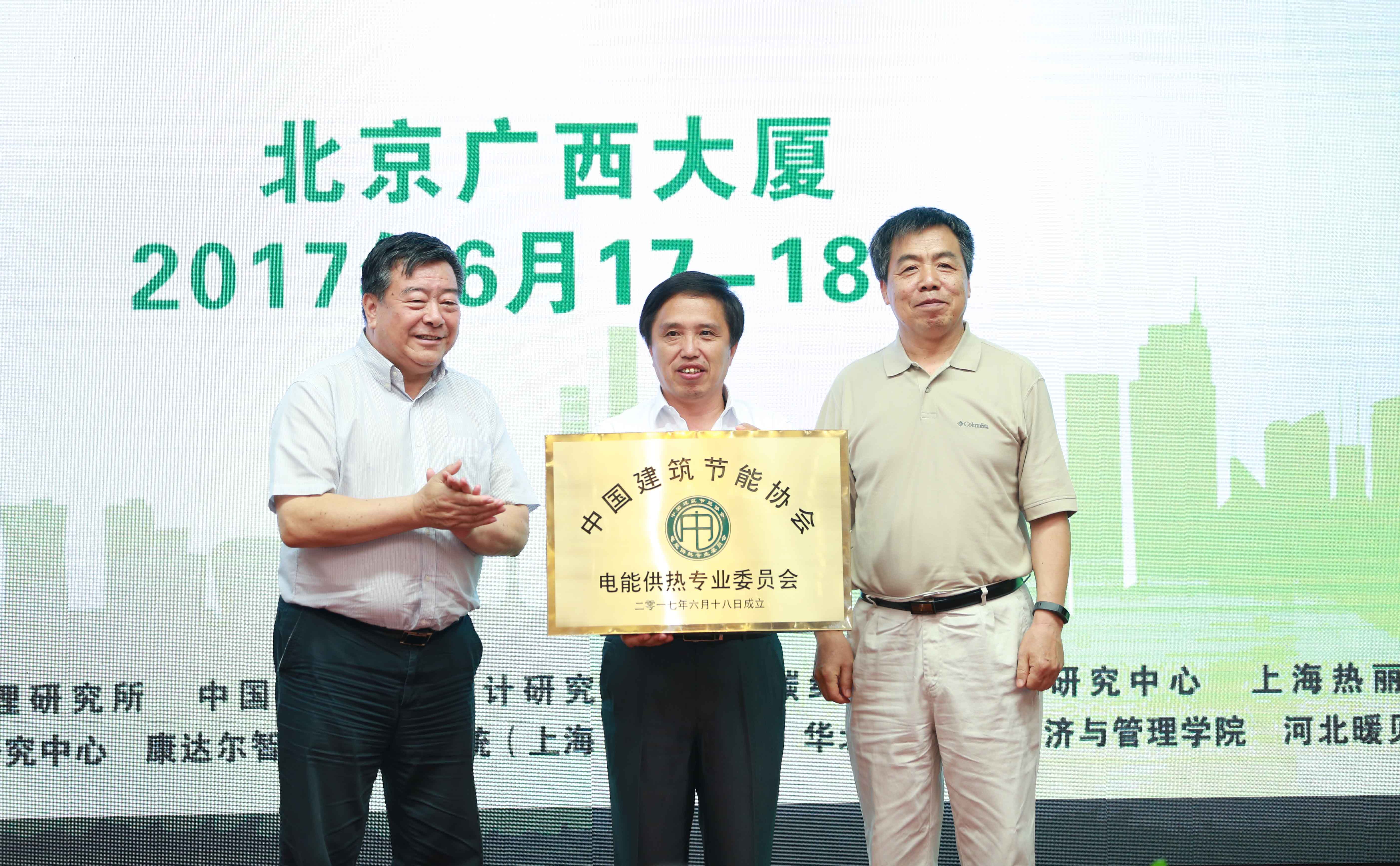 中国建筑节能协会电能供热专业委员会