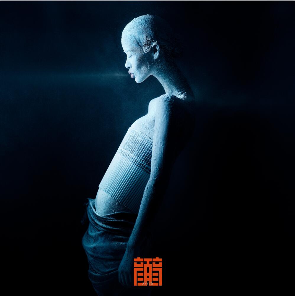 中国灵性美学大师,著名影像艺术家,导演.