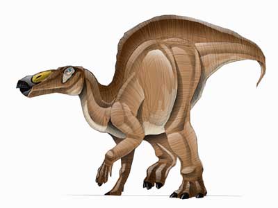 anatosaurus