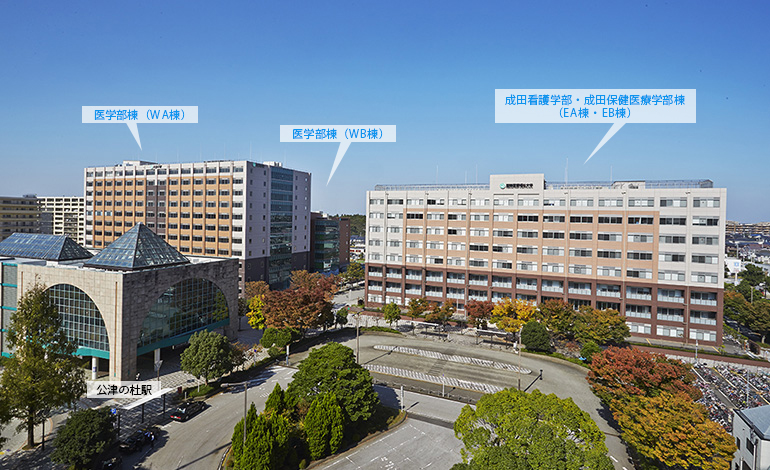  p data-id="gnbqqg5qb2">国际医疗福祉大学是日本第一家医疗福祉的