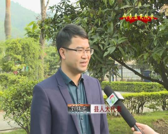 刘伟宏（博罗县人大代表）_百度百科