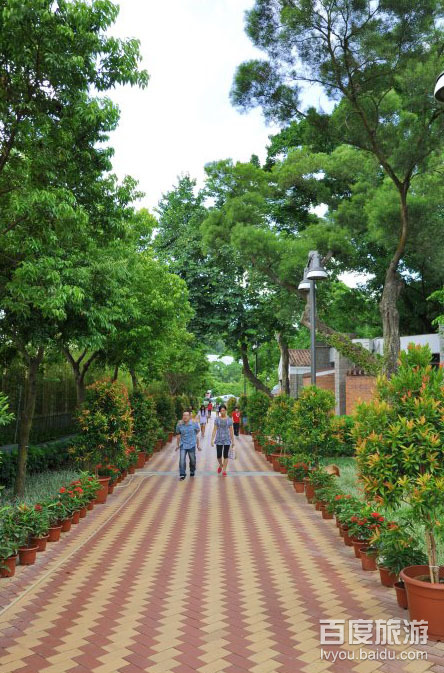 石排湾郊野公园