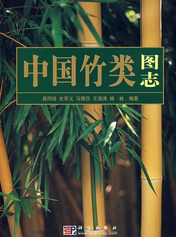 schizostachyum dumetorum (hance) munro