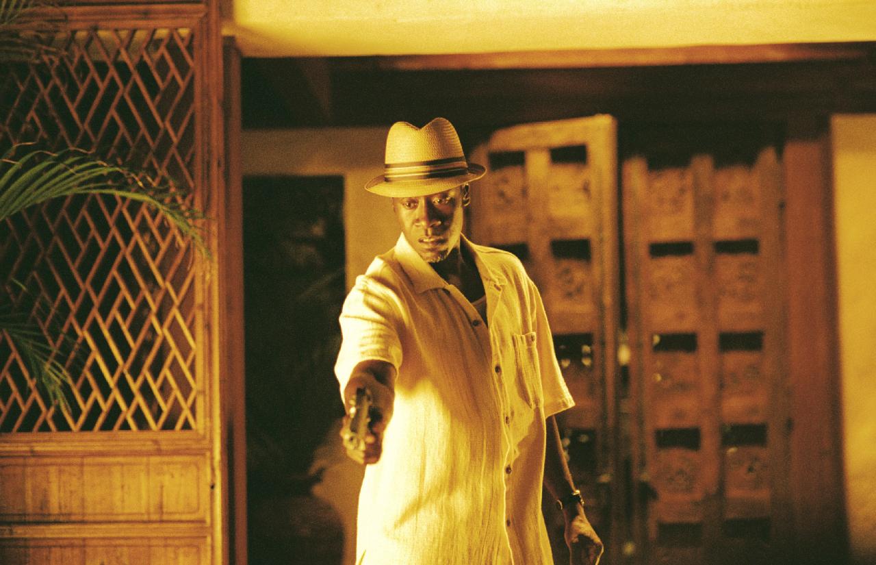 《日落之后》(after the sunset)是由美国firm影业,新线电影,rat娱乐