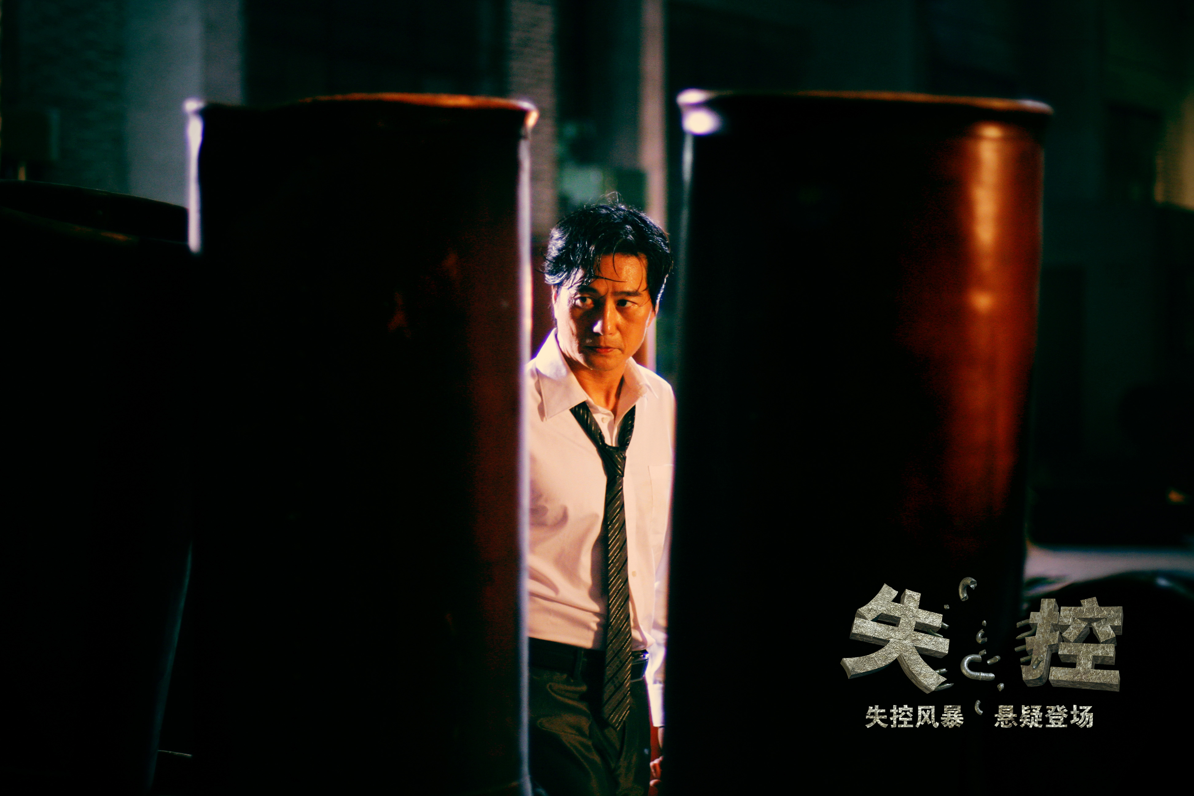 data-lemmaid="10423441">长江文艺出版社 /a>出版的图书,作者是张震