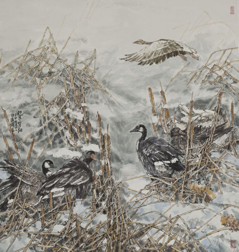 胡泽涛