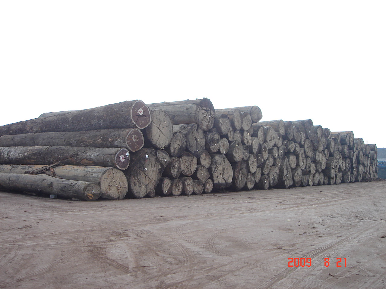  p>缅茄木,俗称:成复台,原产于加蓬,莫桑比克的优质木材,是船舶,高级