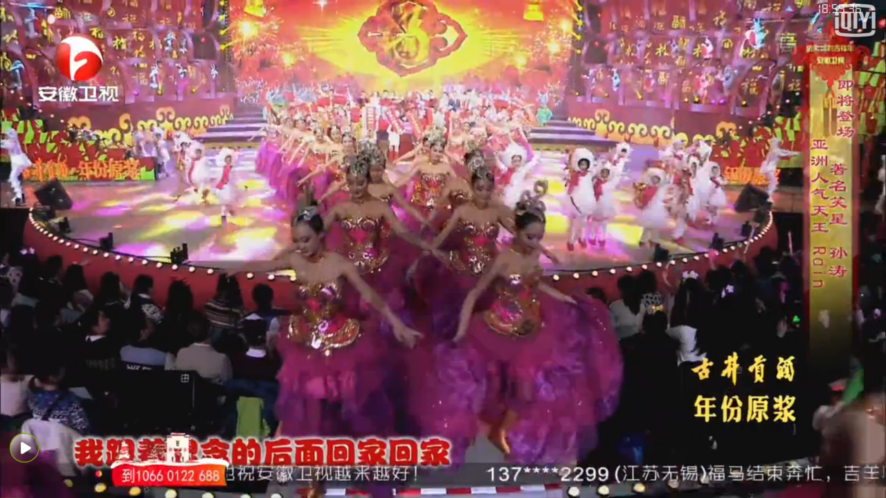 2015安徽卫视春节联欢晚会