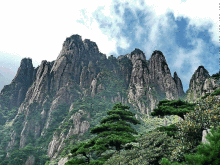 三清山峰林