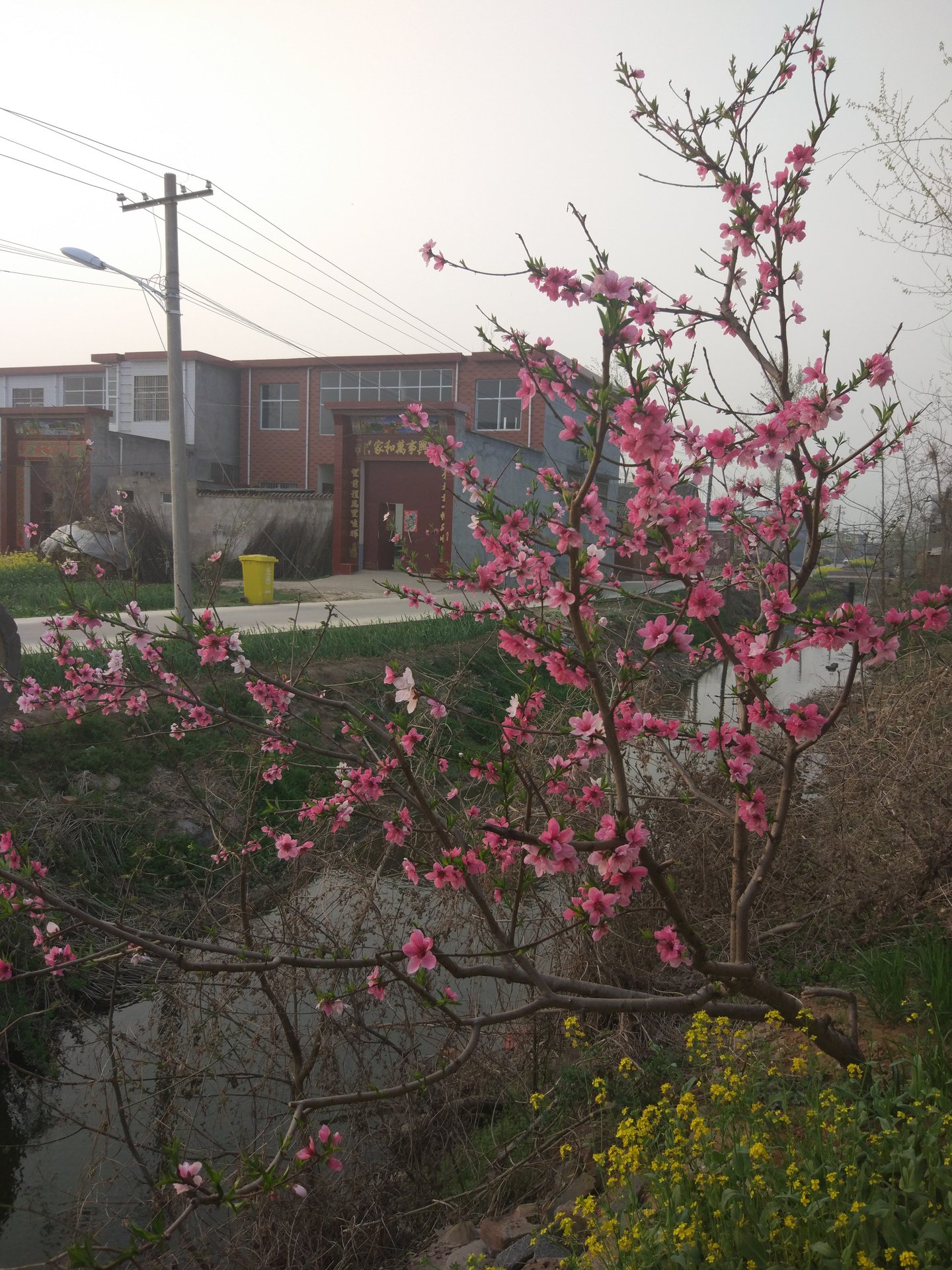 data-id="gnfbe7o82f">位于许昌城西,距今至少有两千年历史,属椹涧乡