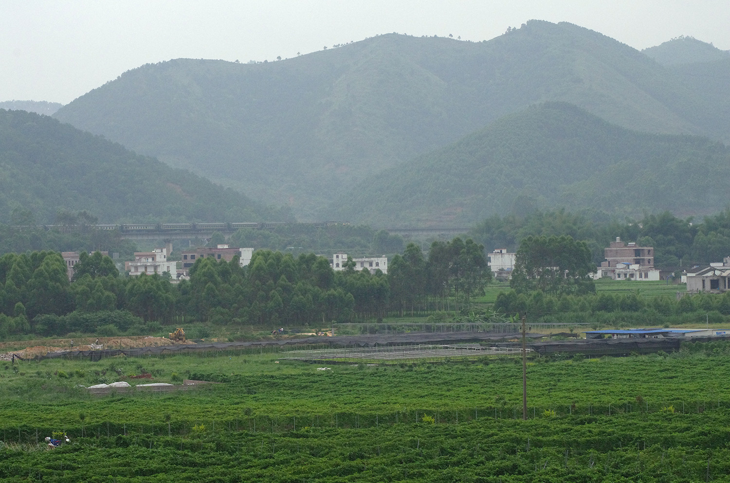 糯垌镇,隶属 a target="_blank" href="/item/广西壮族自治区/163178"
