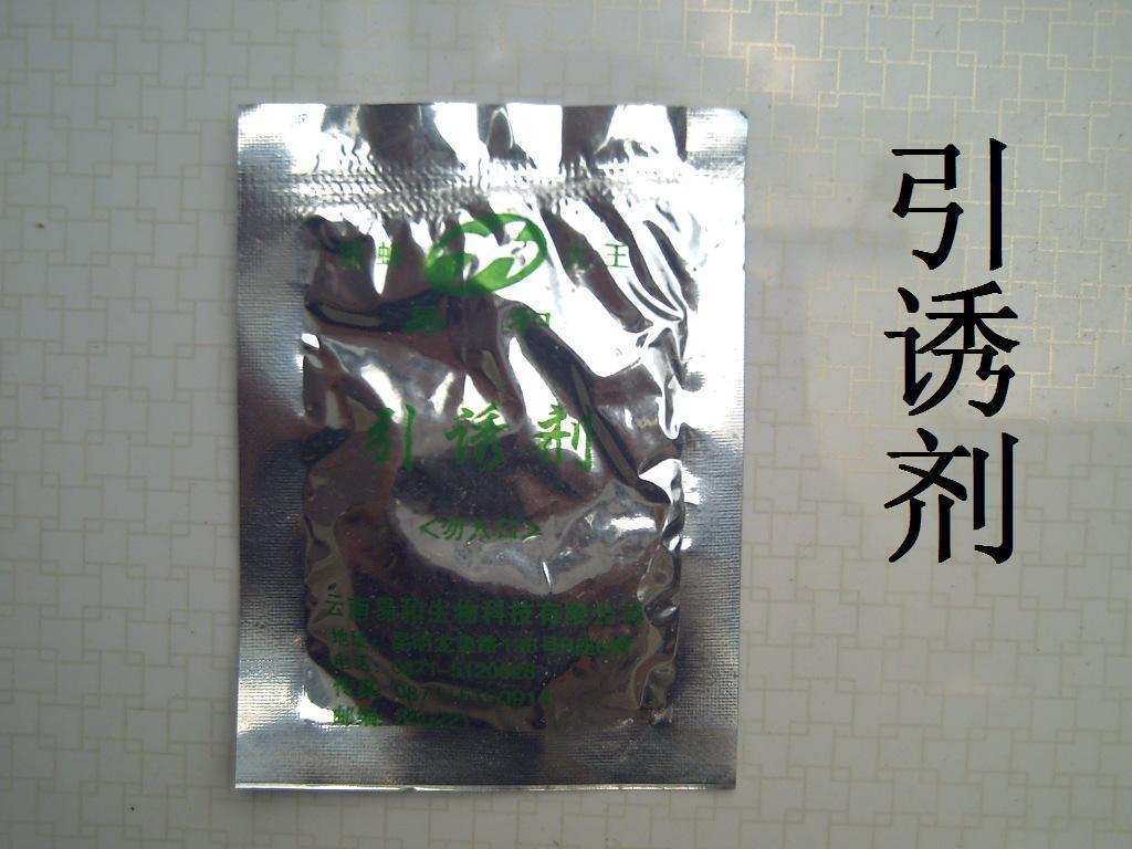 引诱剂