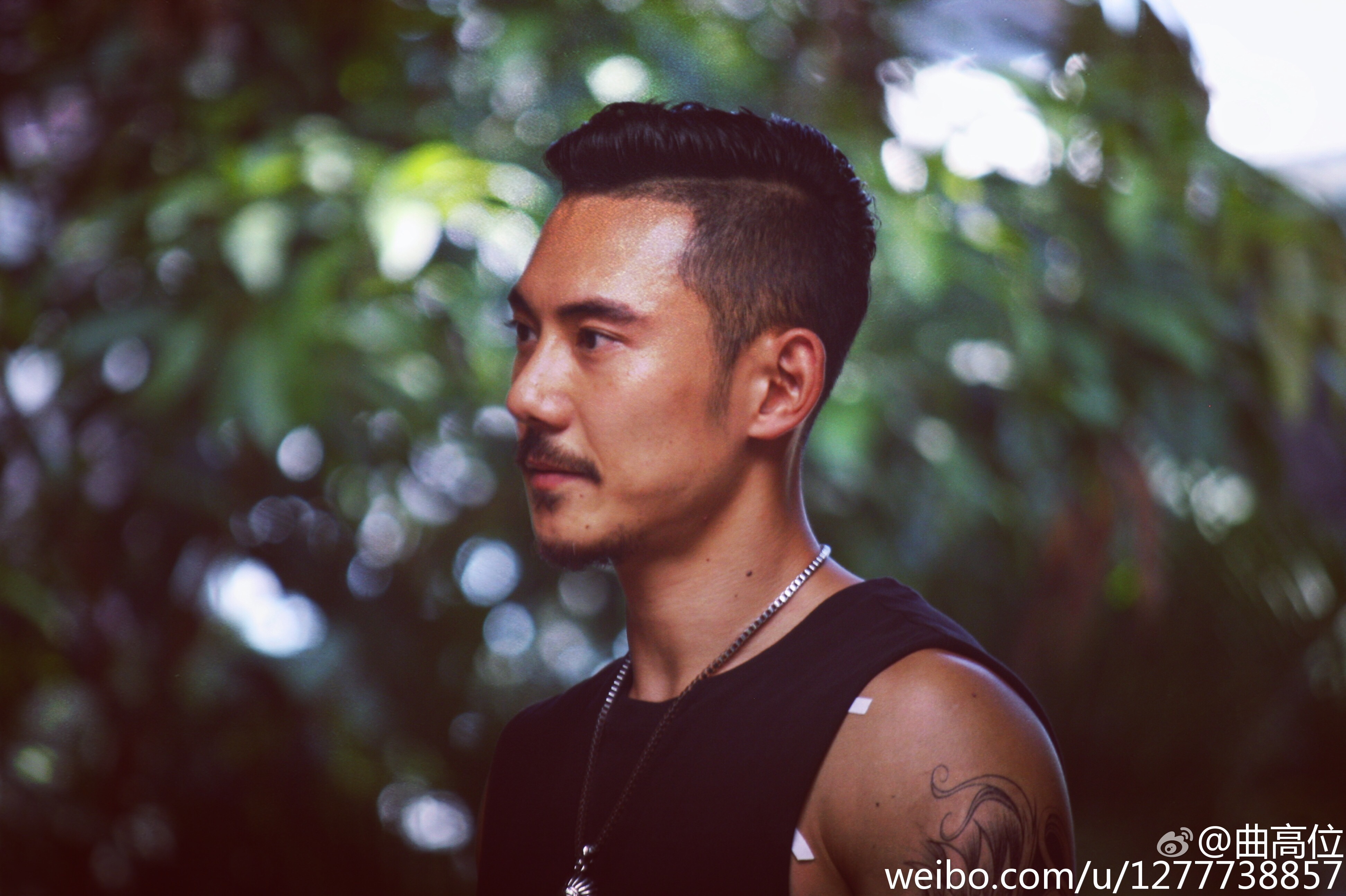  p>曲高位,出生于山东省,毕业于中央戏剧学院2003表演系本科,中国内地