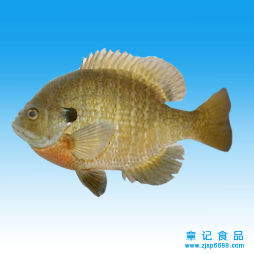  p>太阳鱼, a target="_blank" href="/item/淡水鱼类/4446197" data