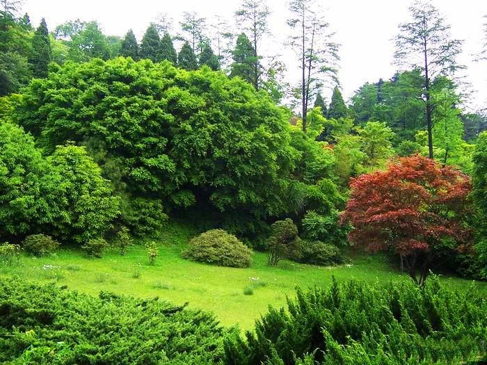 江西庐山植物园