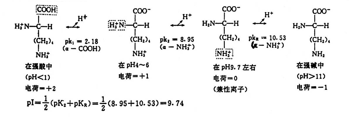 isoelectric point