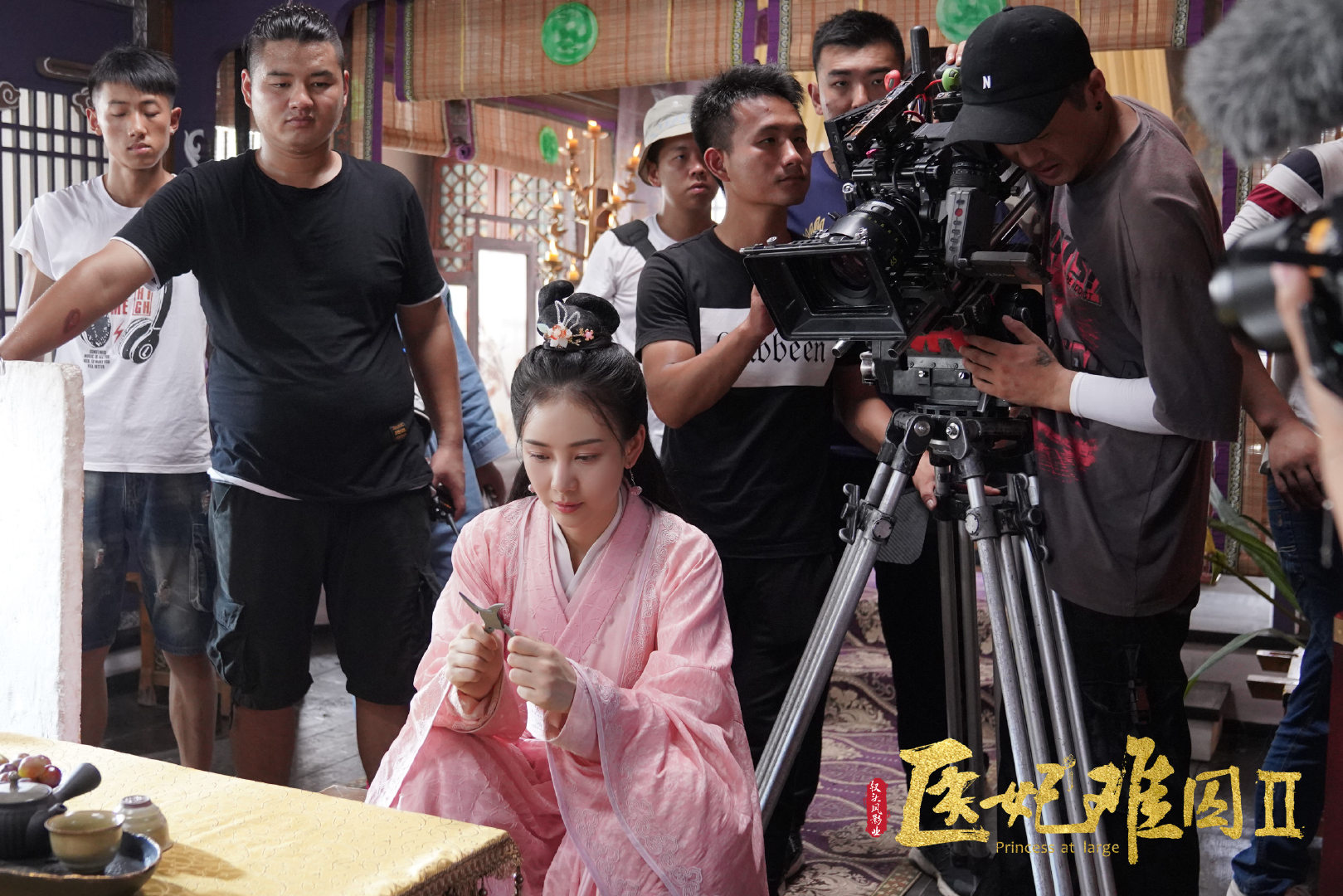 医妃难囚第二季