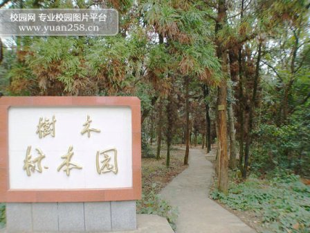 标本园