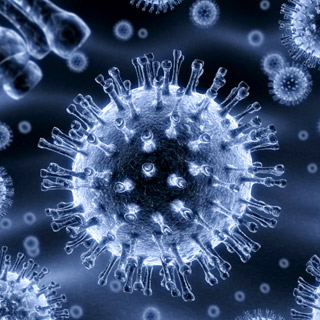 lentivirus