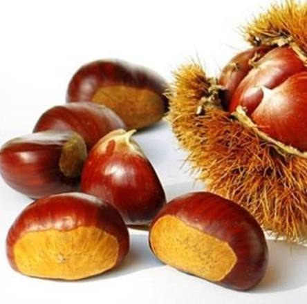 target="_blank" href="/item/集安市/5413705" data-lemmaid="54