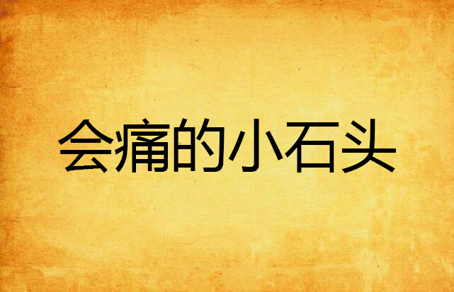 会痛的小石头