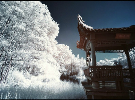 心斋（哲学名词）_百度百科