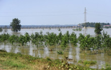 汉江湖北省杜家台分蓄洪区