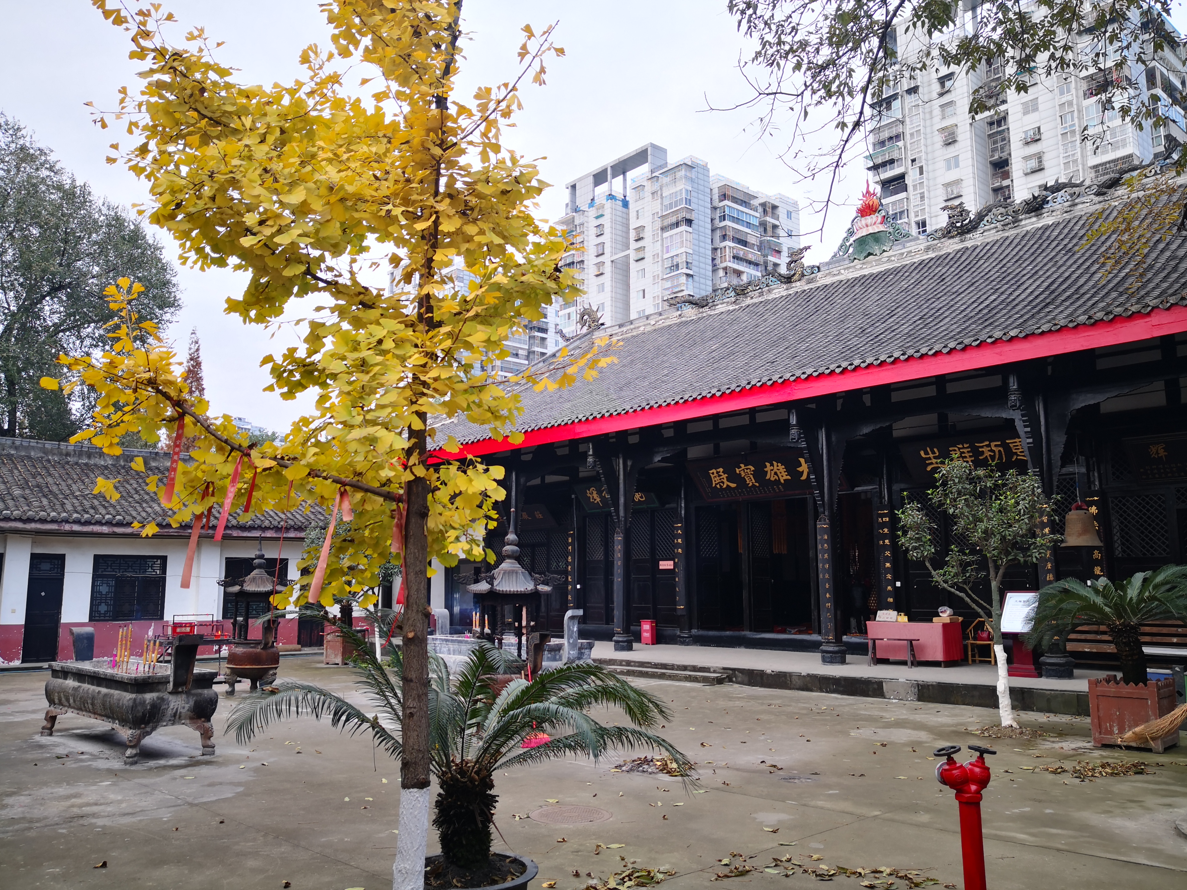 成都市龙潭寺庙